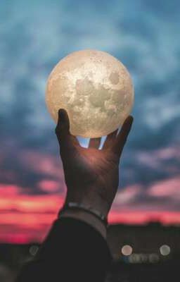 Долгожданная встреча