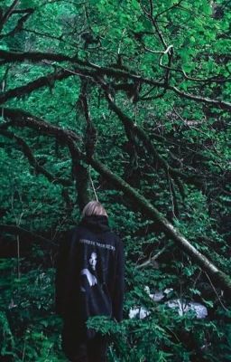 Order 303 // pharaoh