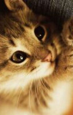 Моя жизнь.)))