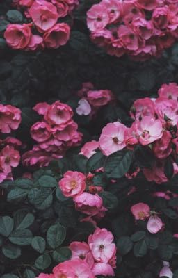 Будет полезно 