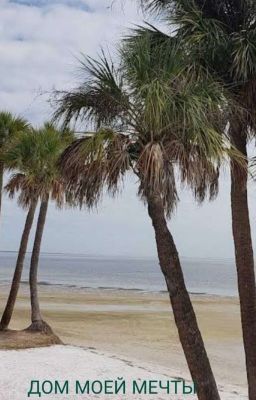 Дом моей мечты 