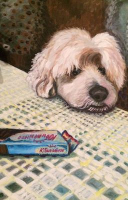 Карьера Менеджера