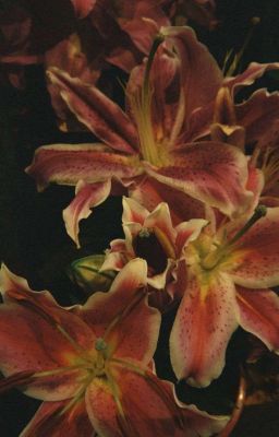 Мой профессор по случайности.