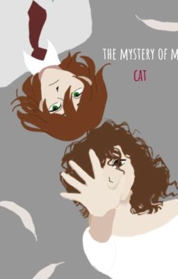 Загадка моего кота 