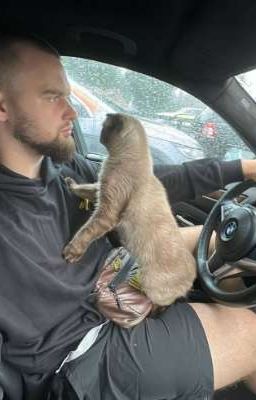 не могу забыть я твои карие глаза||Гориллыч