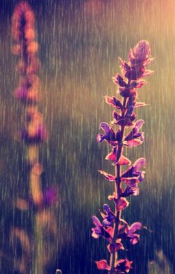 Стих о природе