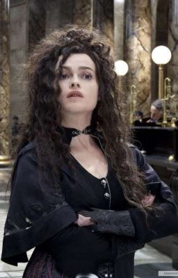 Сверхъестественный дневник сумеречного Хогвартса