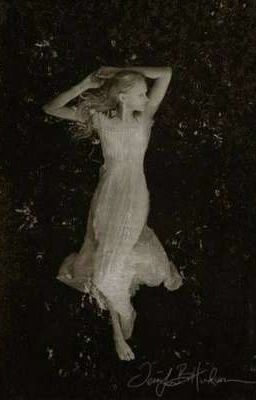 Шелковистые луга. 