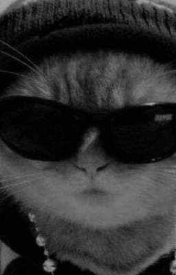 случайное сближение 