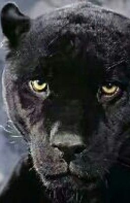 Девушка- Кошка