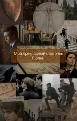 Мой прекрасный цветочек Люпин