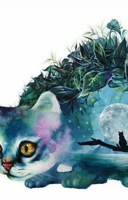 Я-кошка Племени Полёта!