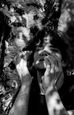 Турбо,всё Дело,в Турбо