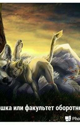 Кошка или Факультет Оборотней