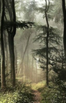 Вскользь по лезвию судьбы