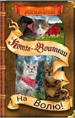 Коты-Воители На Волю!