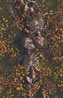 номер 8, ты ещё откуда?!