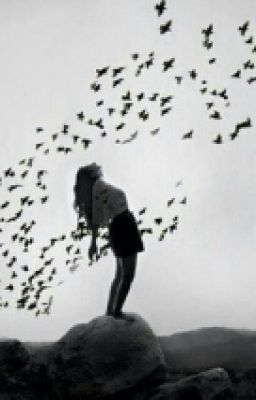 Не иди за мной