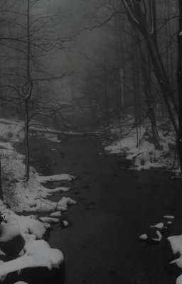 Безмолвный лес