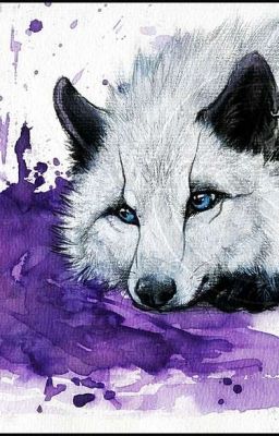         МОЯ ЖИЗНЬ: Истории О Рен 