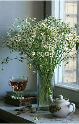 Что ты можешь сделать для него?