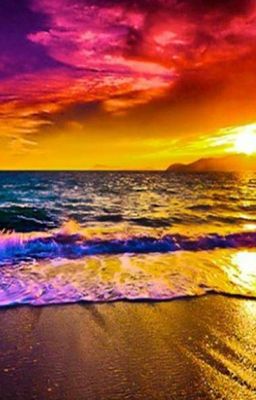 Противоположности притягиваются