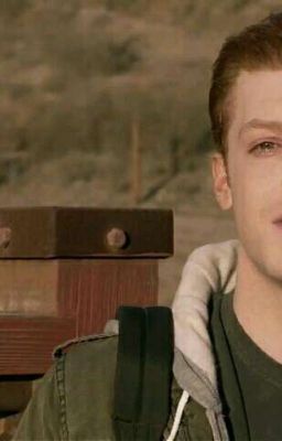 Малиновый рассвет