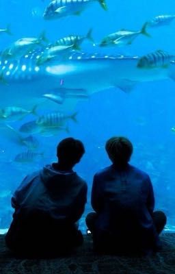 Сквозь Тени