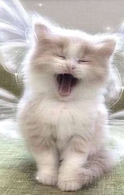 _°ВсЁ дЛя ВаШиХ фАнФИкОв°_