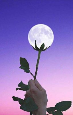 • --> Nice to meet you, Akira <-- •