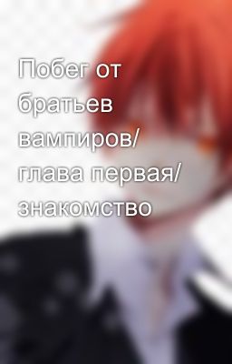 Побег от братьев вампиров/ глава первая/ знакомство