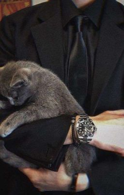 комочек счастья