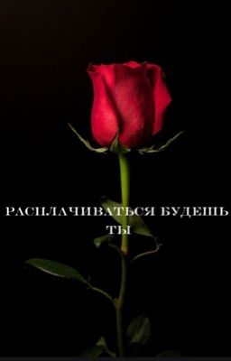 Расплачиваться будешь ты.