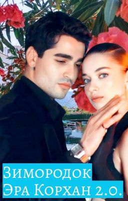 Зимородок. Эра Корхан 2.0  (РЕДАКТИРУЕТСЯ)