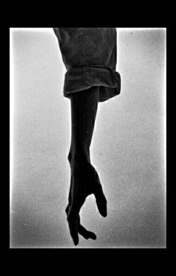 звериные бредни.