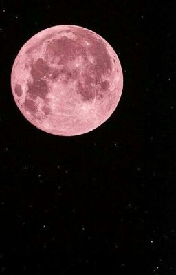 Розовая Луна