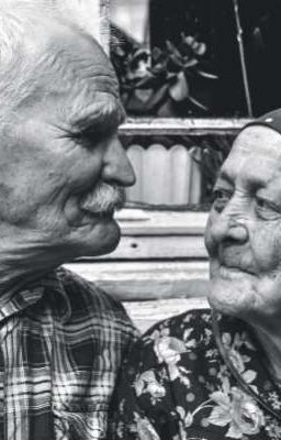 Дачный отдых