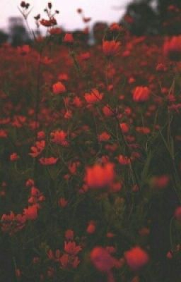 Друзья.Просто друзья