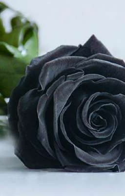 Дочь Президента