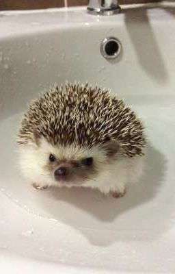 Неожиданный•поворот