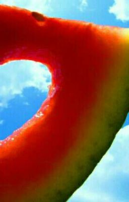 лучшее лето на свете!