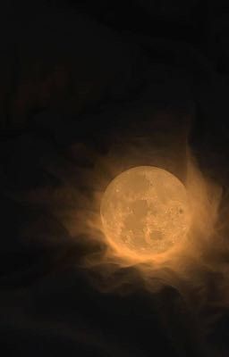 дождливый лес васпбурга. 