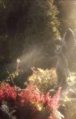 Дети Рафаила встречают закат 