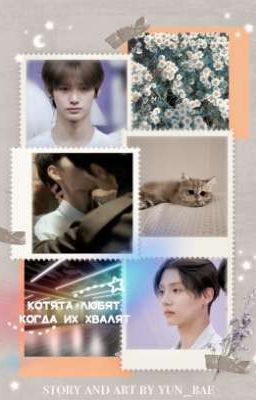 Котята любят, когда их хвалят ✔️ BOYS2PLANET