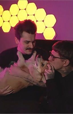 Противоположности 