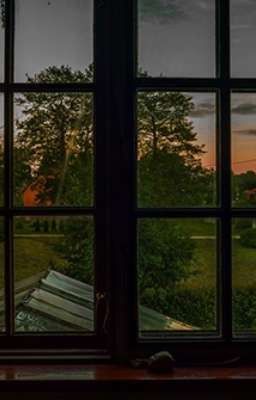 Дело《Будущее счастье 》