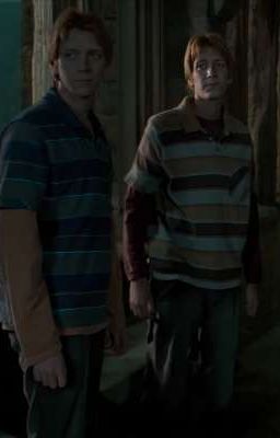 Близнецы Уизли и Т/и Блэк