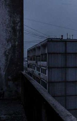 Студенты и опасность