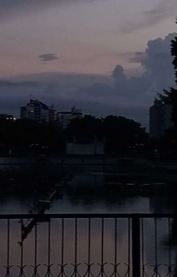 Школьная любовь 