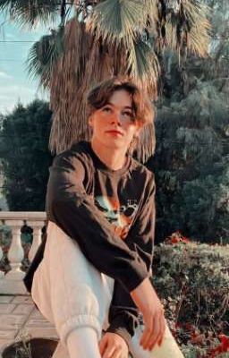 Друг или враг 